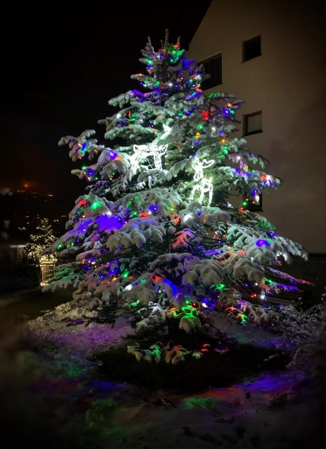 Apartament Lesny Z Kominkiem - Viva Pod Giewontem Apartamenty Zakopane Dış mekan fotoğraf