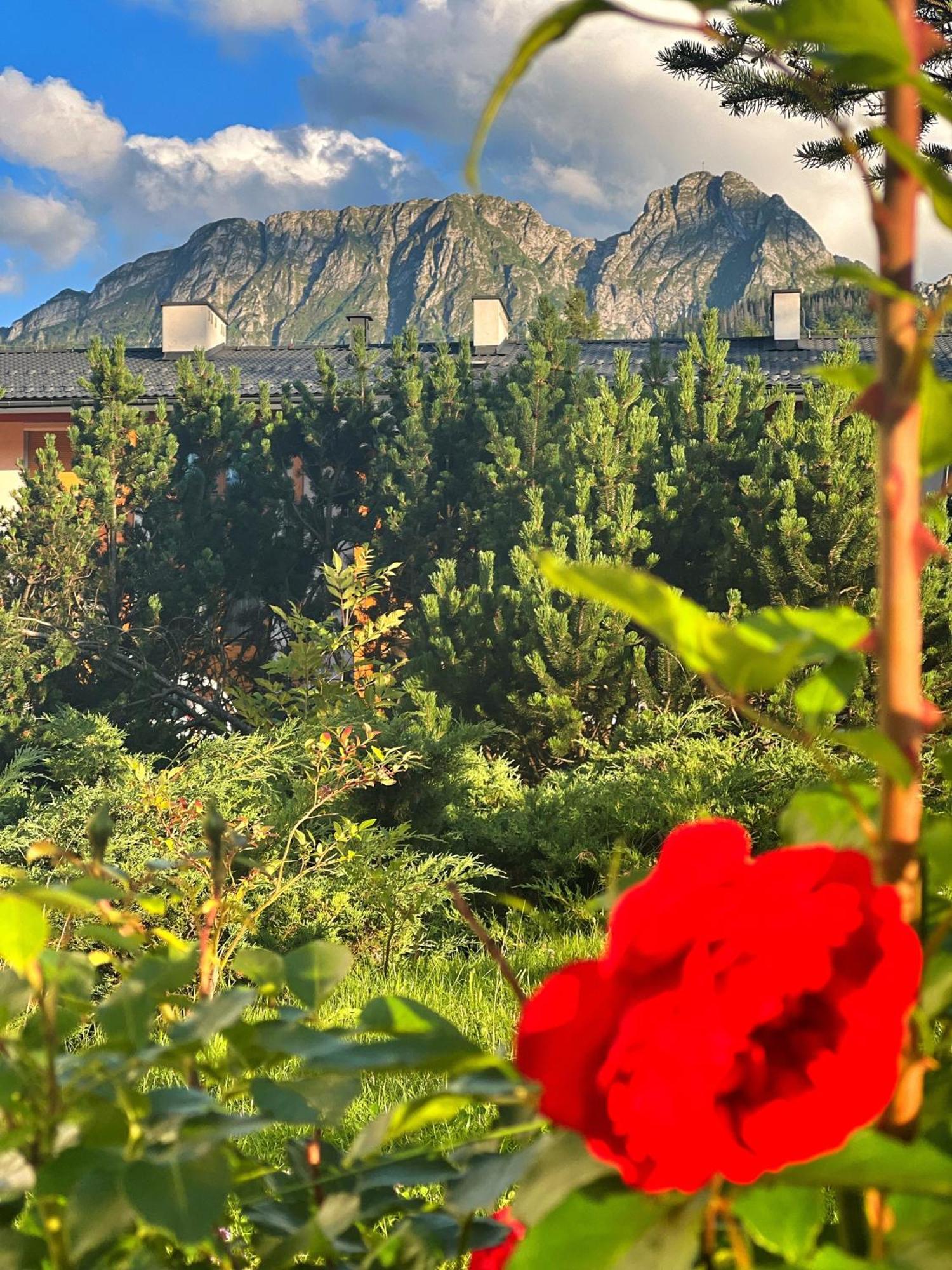 Apartament Lesny Z Kominkiem - Viva Pod Giewontem Apartamenty Zakopane Dış mekan fotoğraf